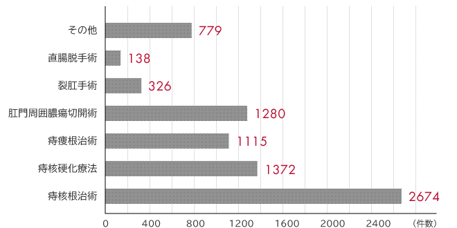 手術の内訳　グラフ